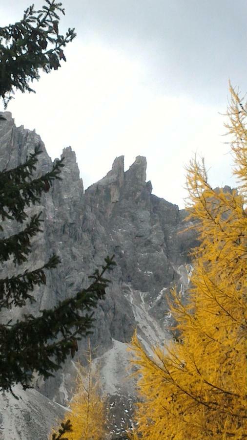 Balcone Sulle Dolomiti 2 Apartment Dosoledo Exterior photo